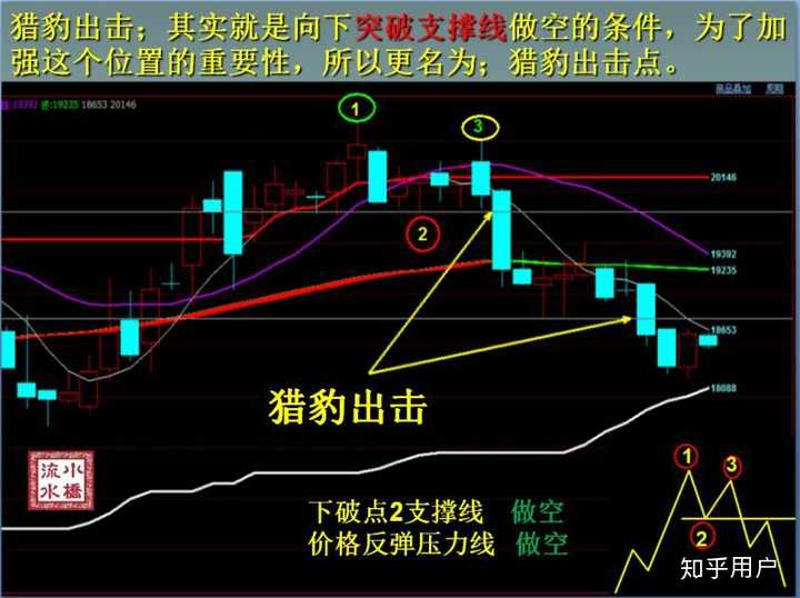 我市举办展示会推广水稻智慧农场技术